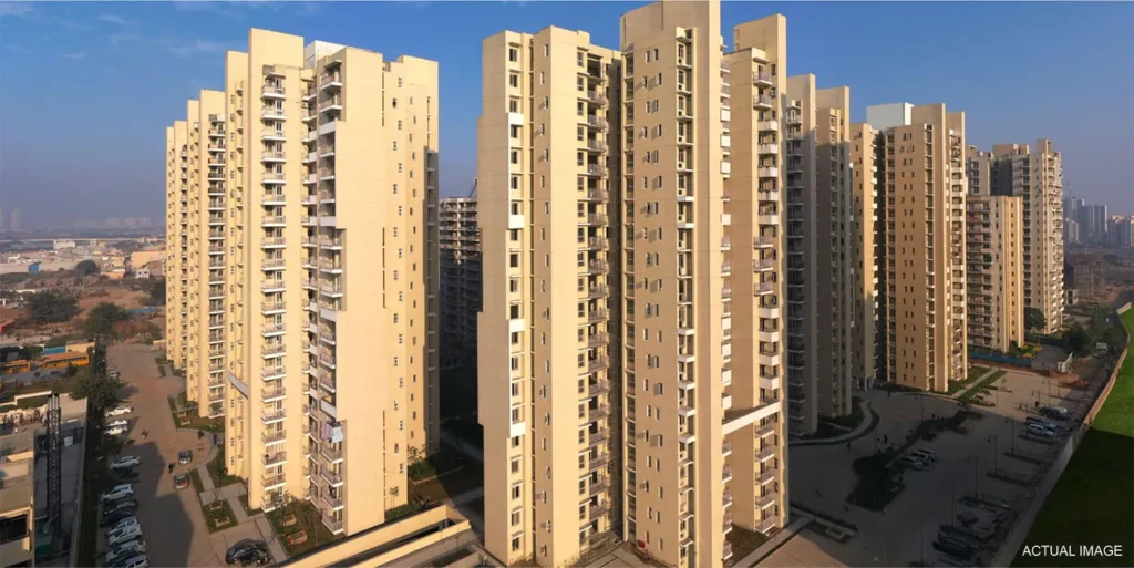 real estate industry