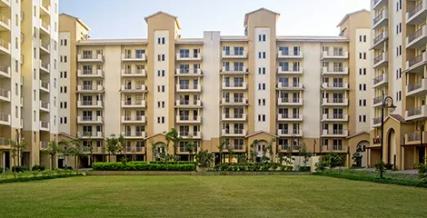 Real Estate Projects